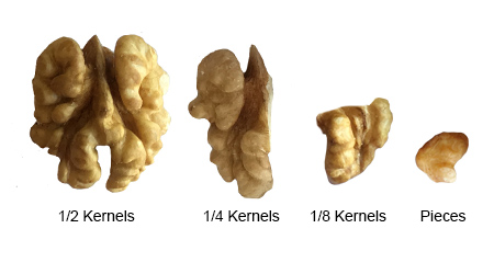 185 The best Walnut Kernels in Quarters