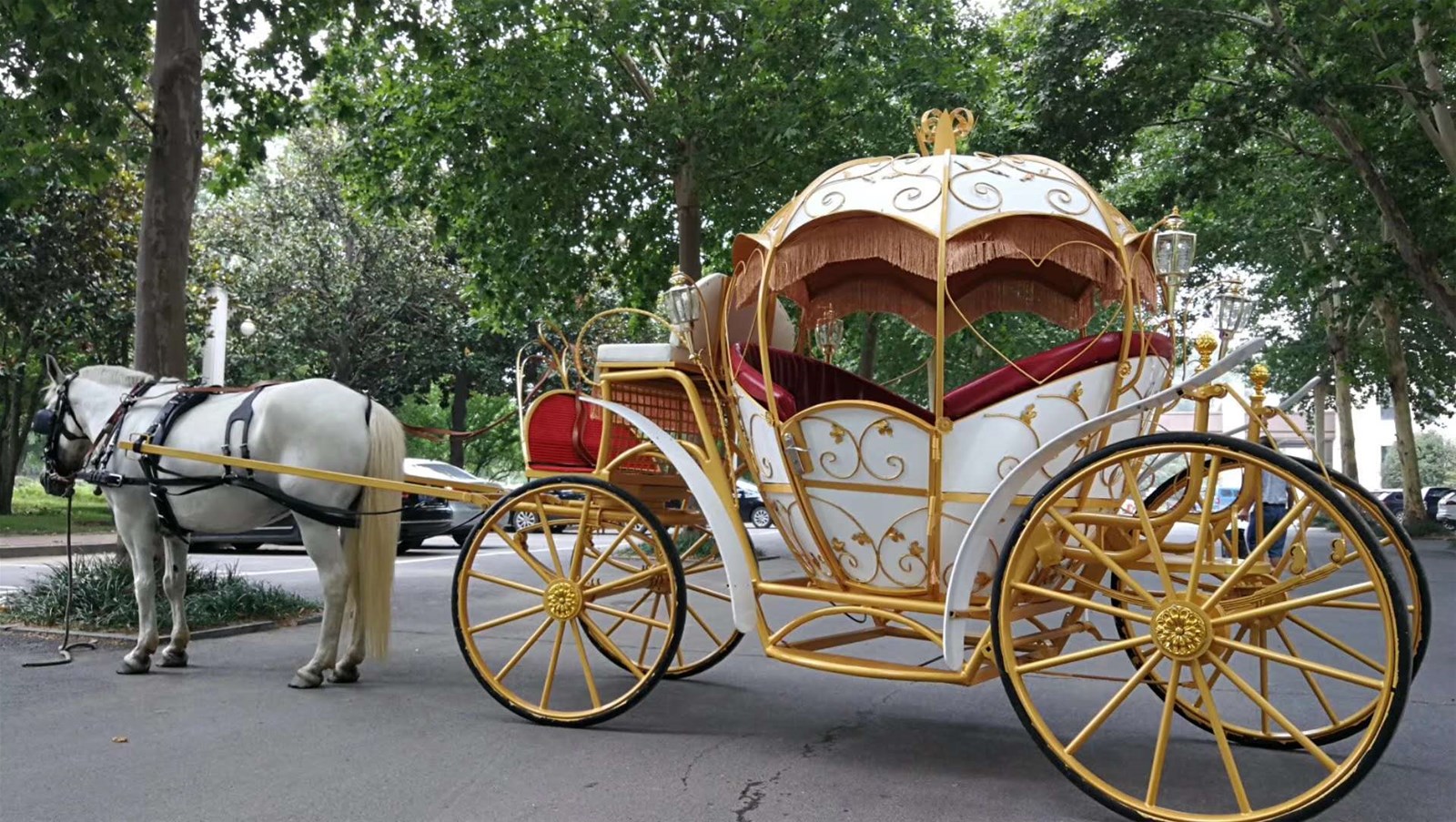 Top Quality Red Tourist Horse Carriage for park