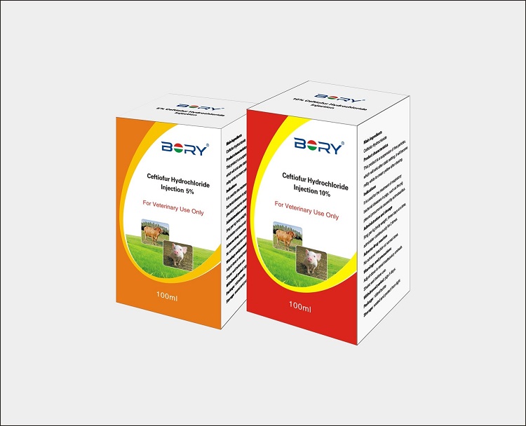 Ceftiofur Hydrochloride Injection for Cattle