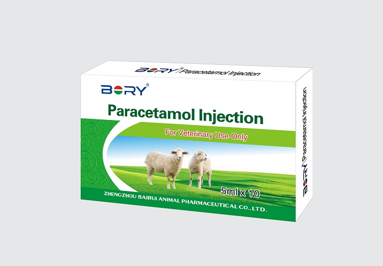 Paracetamol Injection for cattle sheep goat