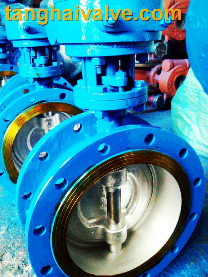 Double eccentric butterfly valve THBTVDE