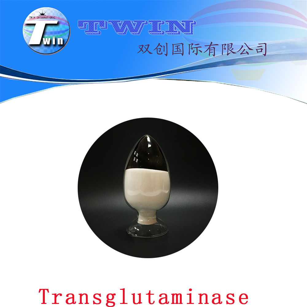 Food Grade enzyme transglutaminase