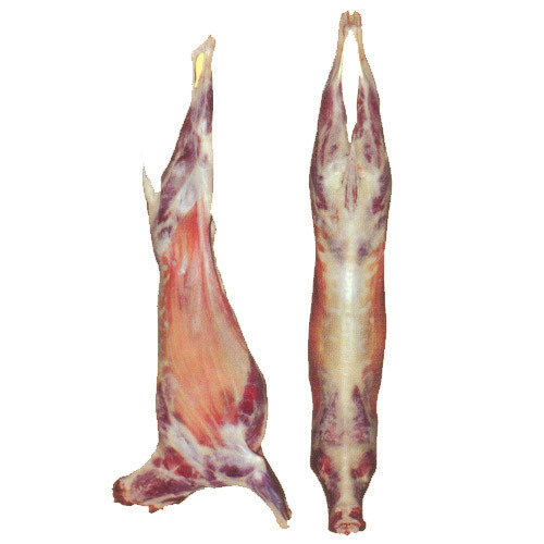 High Quality Frozen Lamb and Sheep