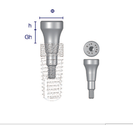 Pure Titanium Healing Abutment for Dental Implant Wego Factory Narrow Regular Neck Prosthetic Abutment Bone Level Dental