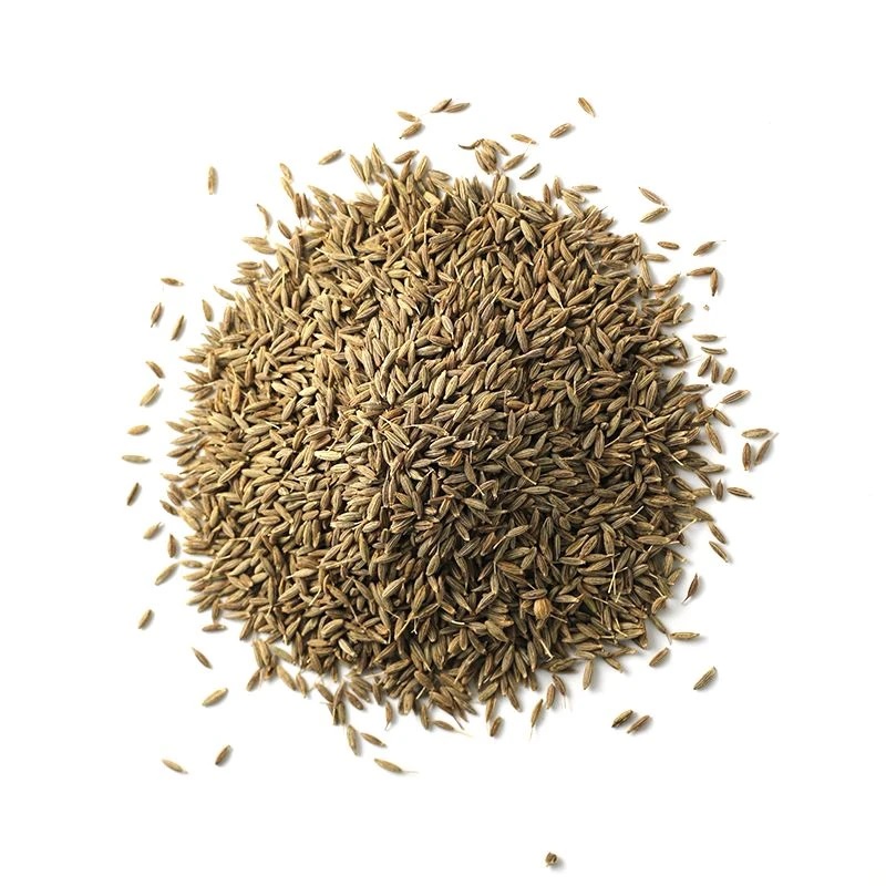 Supreme quality Organic Cumin Seeds