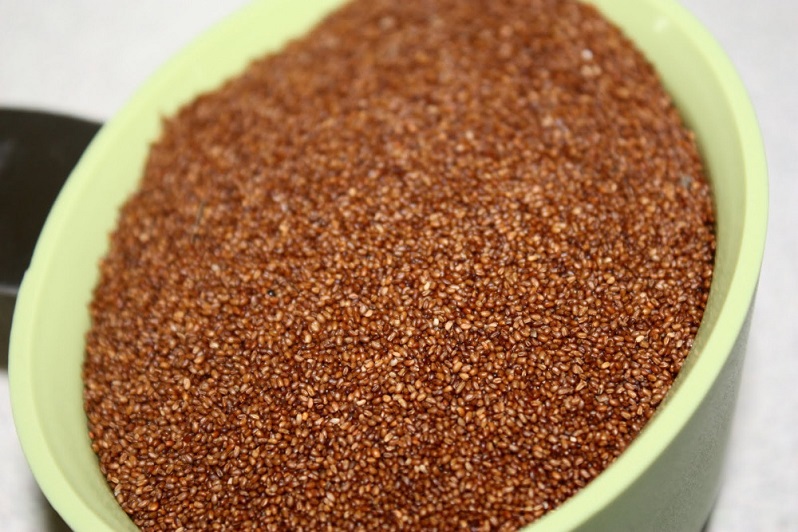 Premium qualityRaw Teff Grains