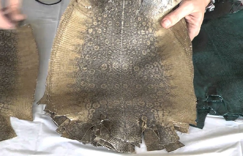 High Grade Lizard Skin Leather