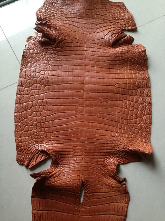Genuine Alligator Skin Leather