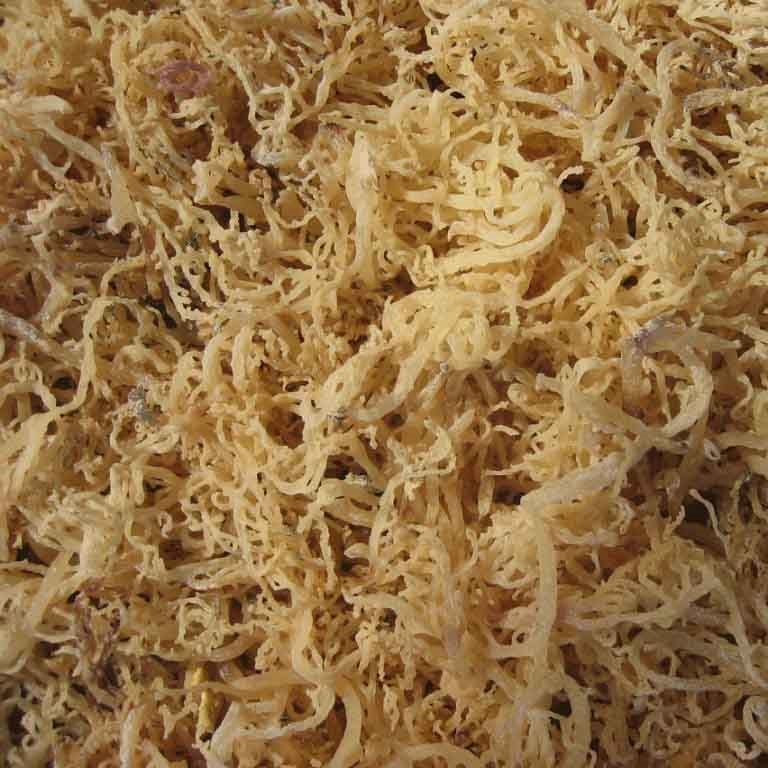 Dried Eucheuma Cottonii Seaweed