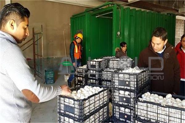 High performance CE certificate vegetables vacuum cooling machine for farms