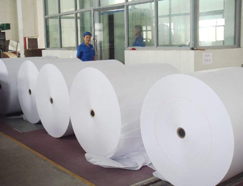 High quality woodfree Offset Paper