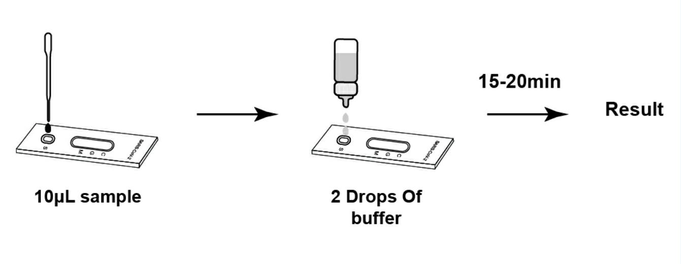 SARSCoV2 COVID19 IgGIgM Rapid Test Cassette