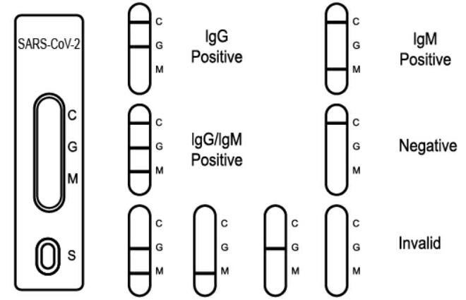 SARSCoV2 COVID19 IgGIgM Rapid Test Cassette