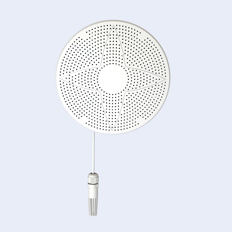 RSMG111N011 Wall Mounted Multi Gas Testing Household Indoor Air Quality Monitor pm25 pm10 air detector