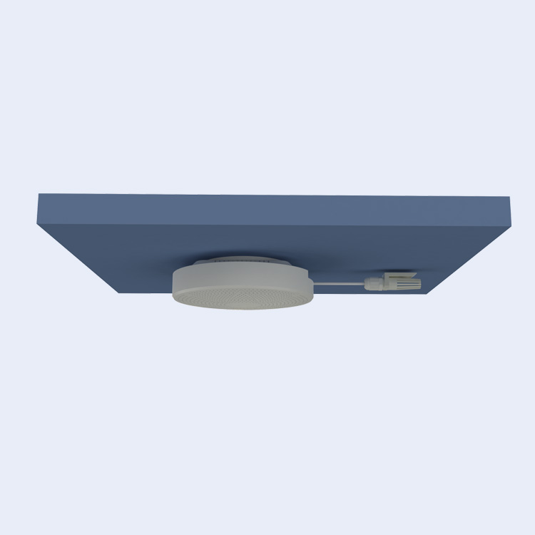 RSMG111N011 Wall Mounted Multi Gas Testing Household Indoor Air Quality Monitor pm25 pm10 air detector