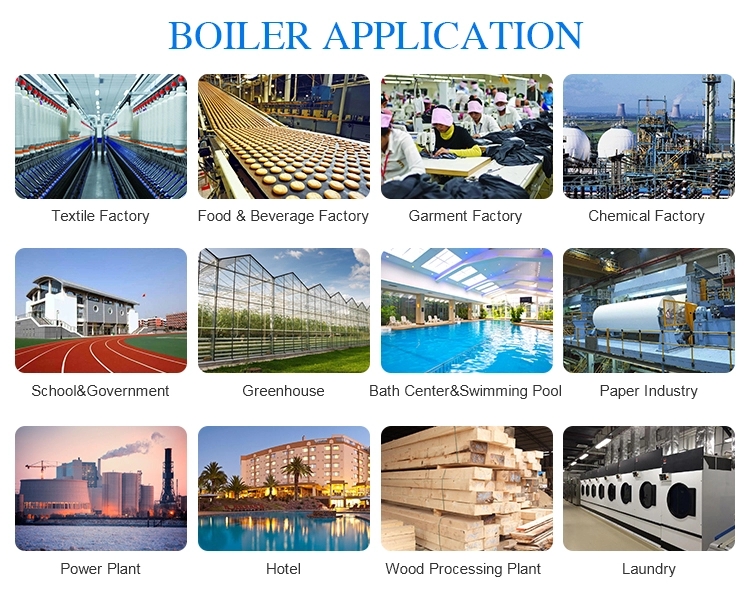 3TH Industrial Natural Gas Oil Fired Steam Boiler for feed pellet line