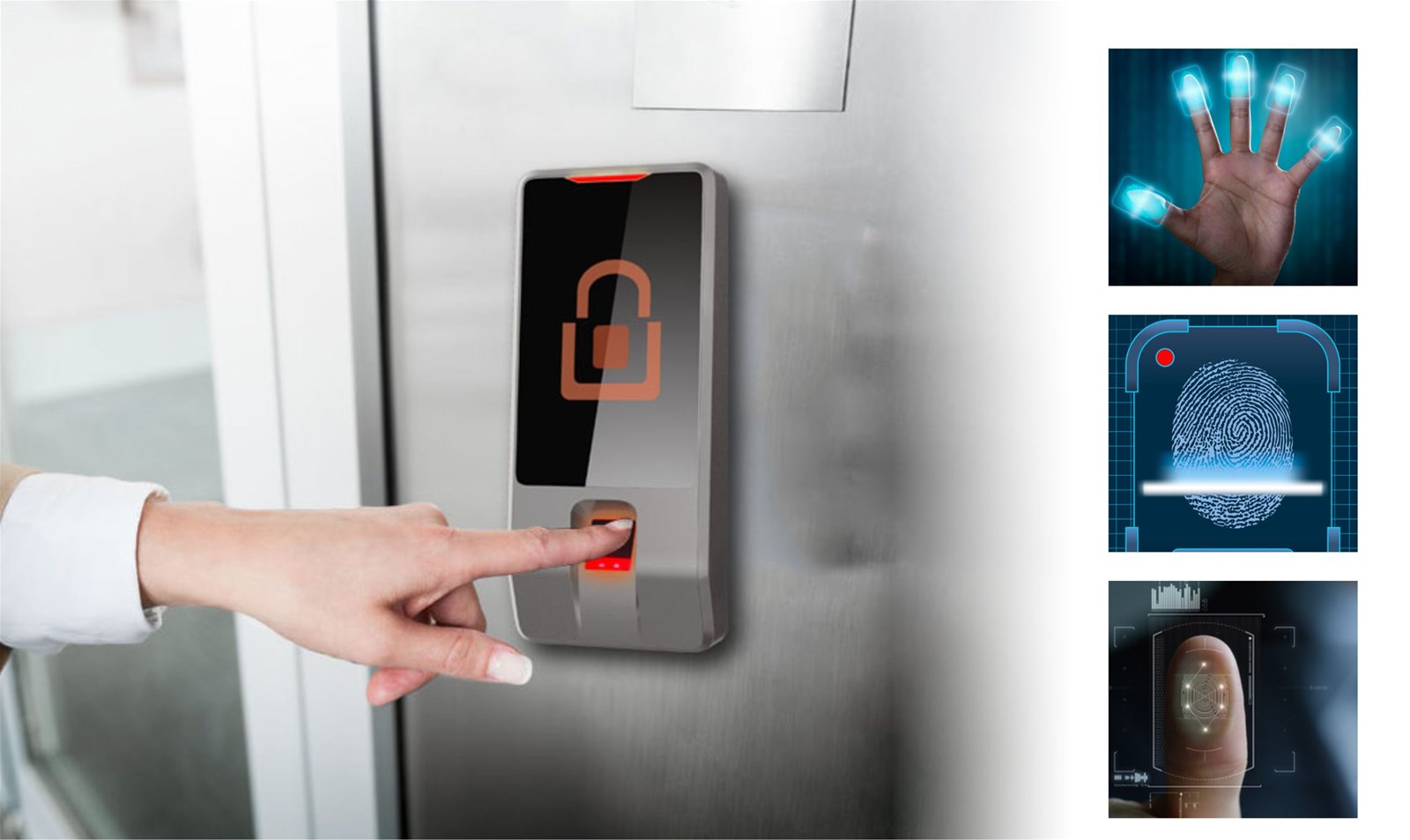 Wholesale Waterproof IP64 Biometric Touch Sensor Fingerprint Recognition Unlock LED display Integrated Access Control