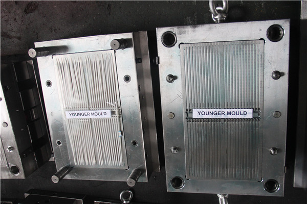 Cable tie mold Cable tie injection mould PANEL ACCESS FASTENERS mould