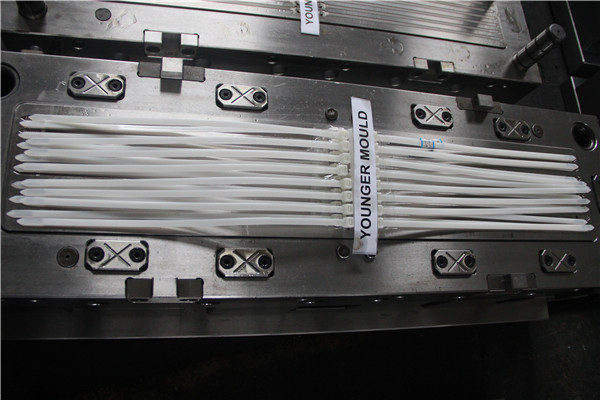 Cable tie moulds Cable tie injection mould push mount cable ties mould