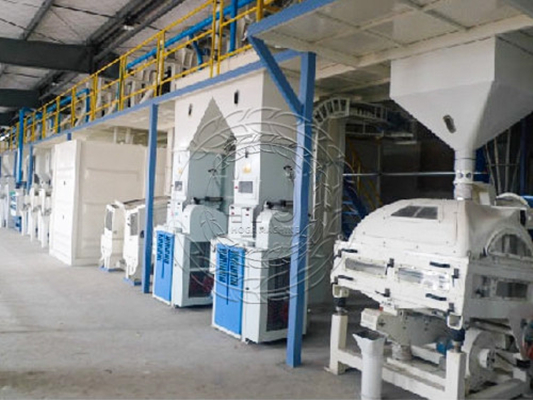 300500TD Complete Rice Mill Plant Rice Processing Plant for Sale