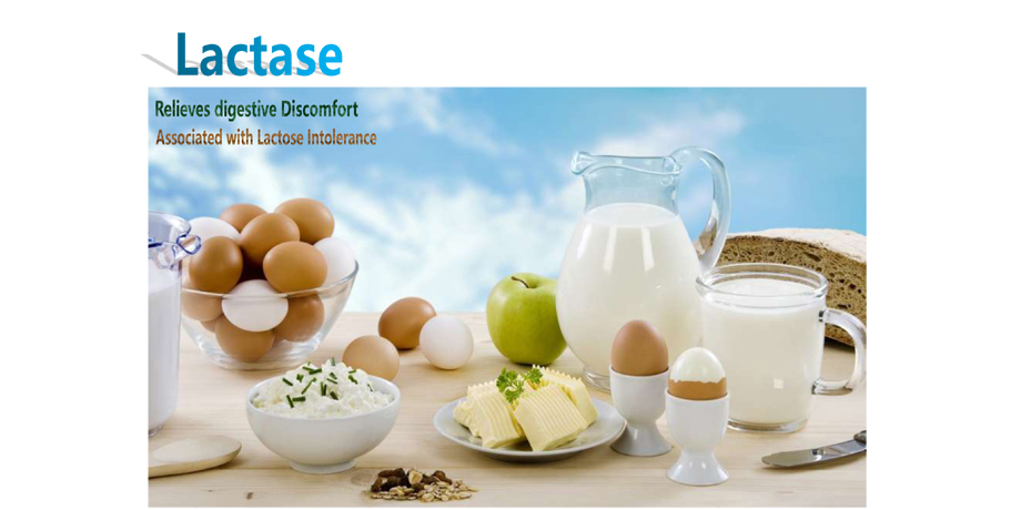 Lactase or Galactosidase Enzyme for Dairy Lactose Reducing