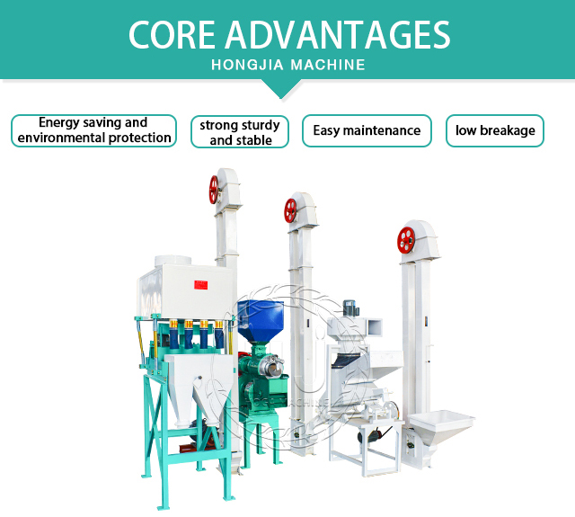 10TD Mini Rice Mill PlantQuality Rice Processing Machines Manufacturer