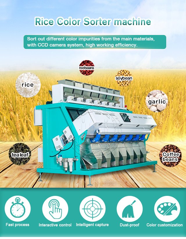 Rice Color Sorter for Rice Mill Plant