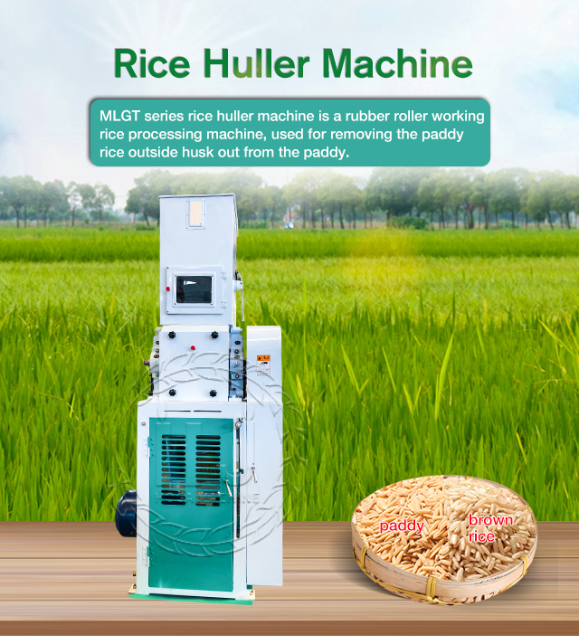 Rice Huller Machine in Rice Processing Plant