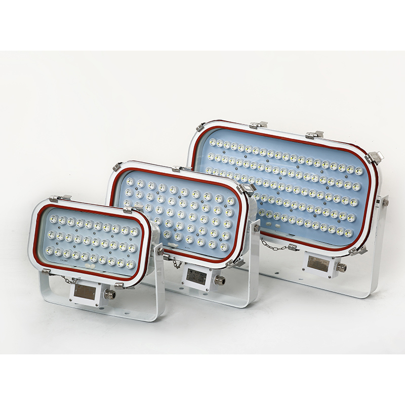 IP67 Stainless Steel LED Marine Flood Light 30W 50W 100W CCS Certificate Maintain Free