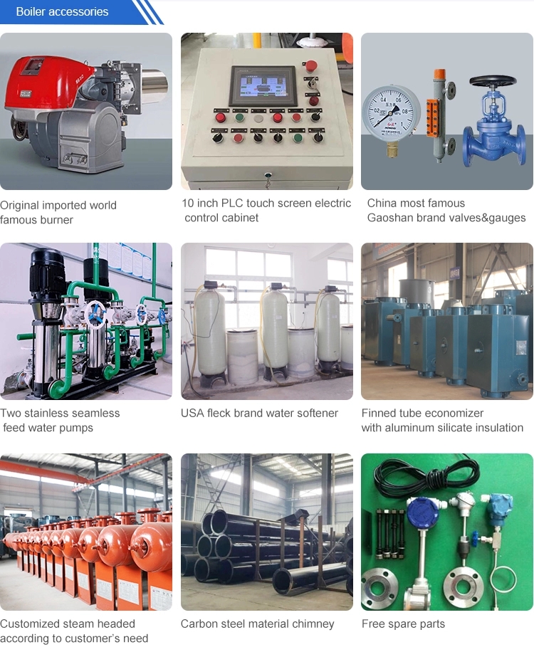 10 ton Low Cost szs series gasoil fired steam boiler for milk processing plant