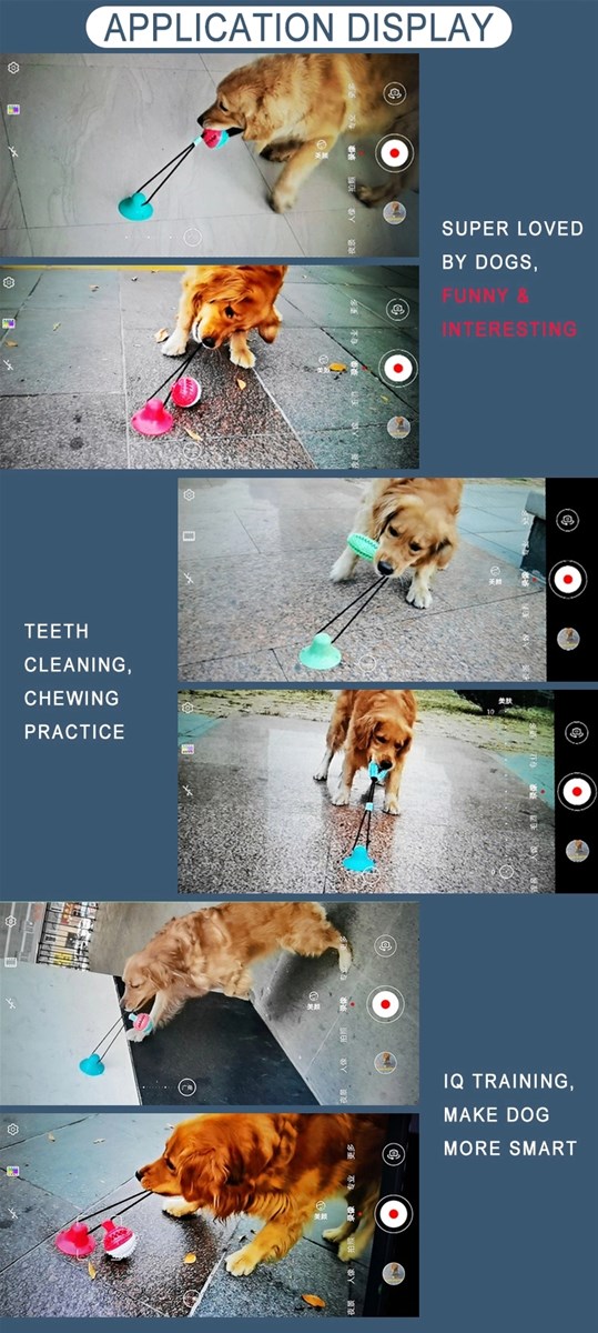 Pet Chew Ball Toy with Suction Cup Dog Food Dispensing Ball Dog Interactive Molar Toys Toothbrush