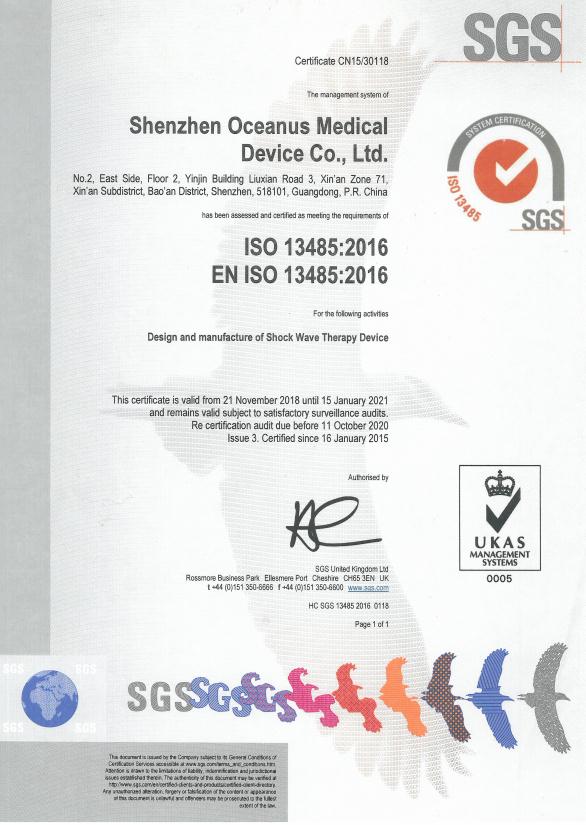 ESWT Physiotherapy shockwave equipment electromagnetic medical painrelief ed therapy shockwave