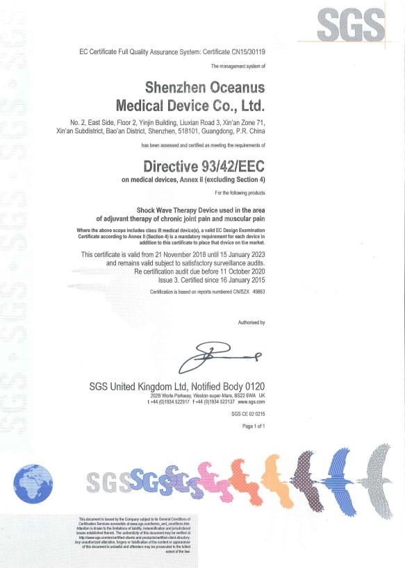 ESWT Physiotherapy shockwave equipment electromagnetic medical painrelief ed therapy shockwave
