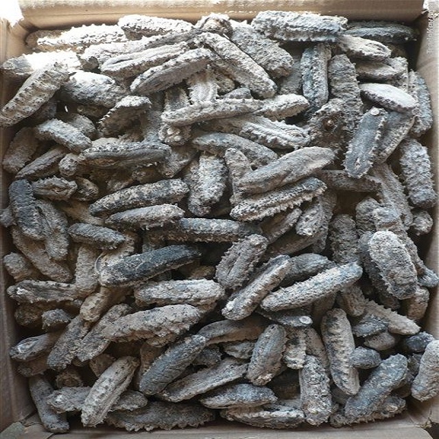 Top Quality Dried Sea Cucumber