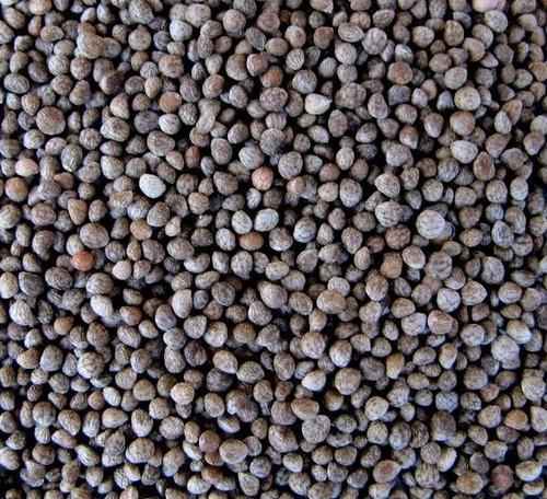 Excellent quality Perilla Seeds