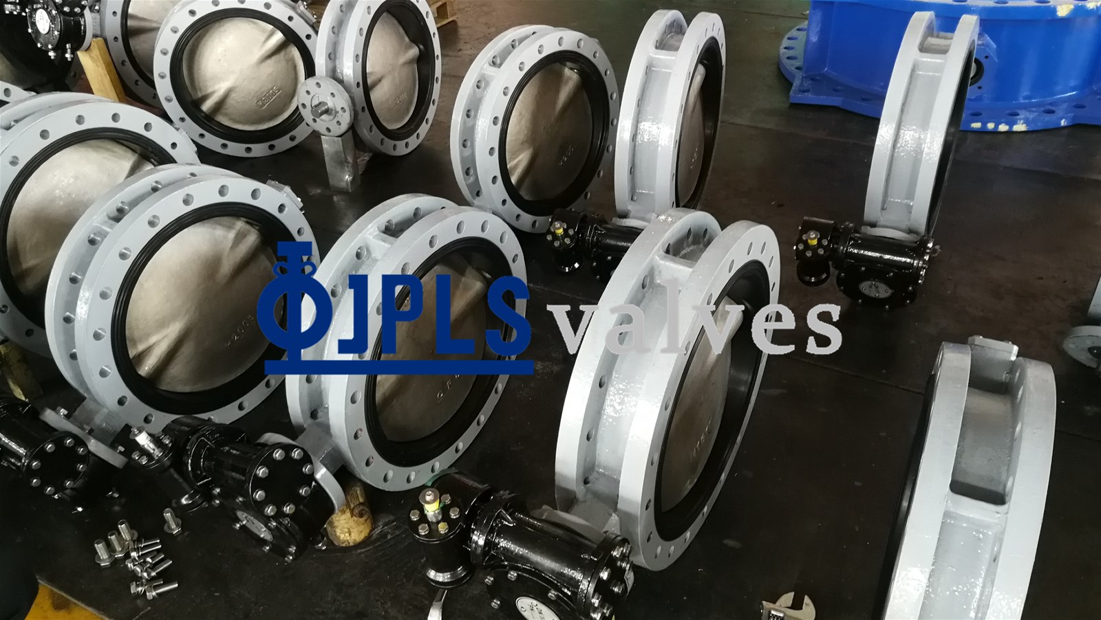 Gear Operated Ductile Iron Utype Flanged Marine Butterfly Valve