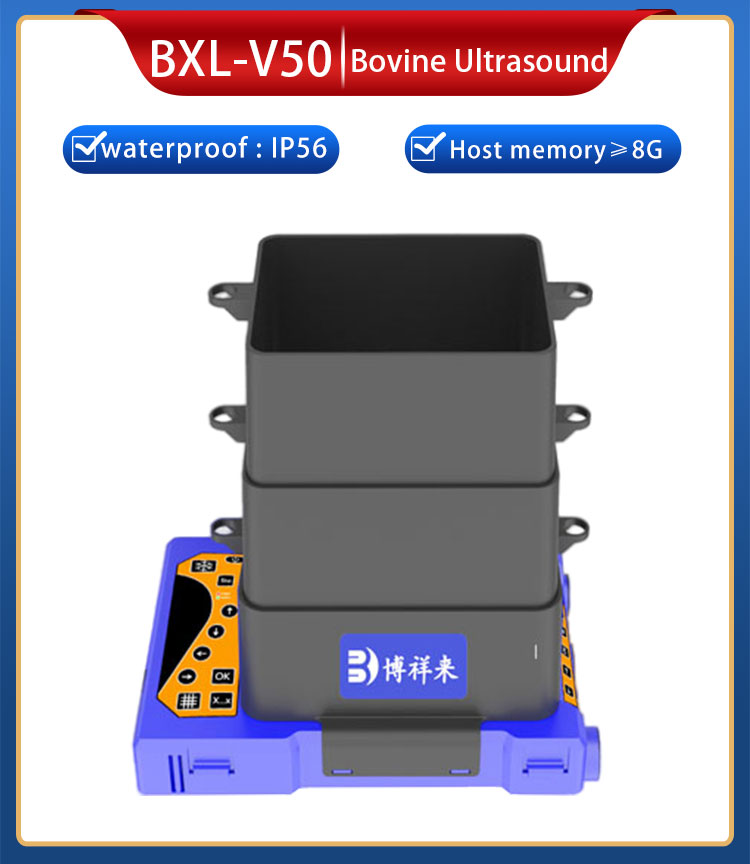 Boxianglai veterinary ultrasound scanner bxlV50 price