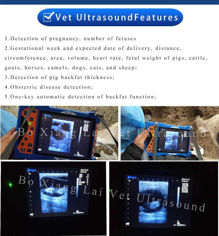 Boxianglai veterinary ultrasound scanner bxlV50 price