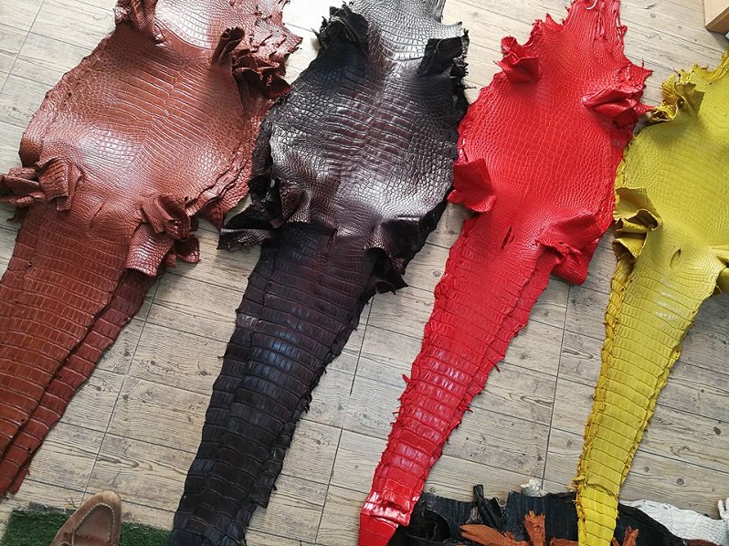 Genuine Crocodile Skin Leather Genuine Crocodile Skin Leather