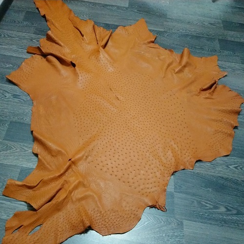 Genuine Ostrich and Foot Skin Leather Genuine Ostrich and Foot Skin Leather