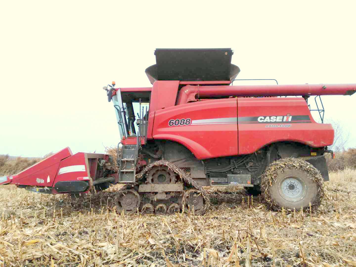 Combine harvester rubber track systems