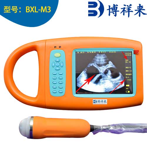 Boxianglai Veterinary Scanners BXL-M3 Pig Sheep VET ULTRASOUND 5.6 Inch Ultrasound Equipment