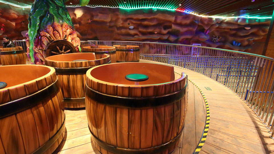 DESCRIPTION OF TEACUP RIDE