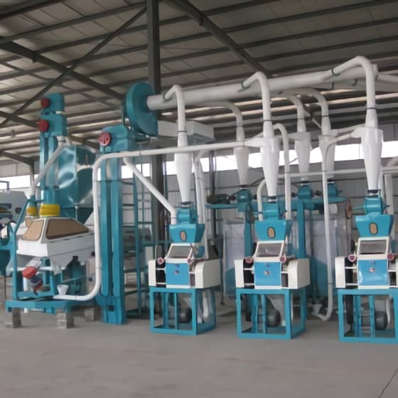 10TPD Maize Corn Flour Mill Plant