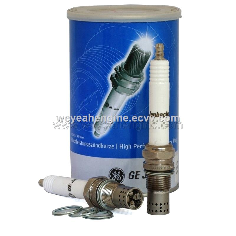 1233808 spark plug for J320J420