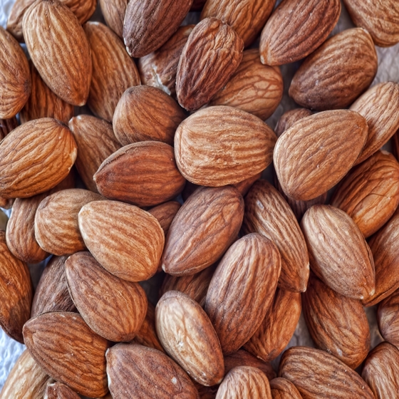 Grade A Almond Nuts Raw Natural Almond Nuts Organic