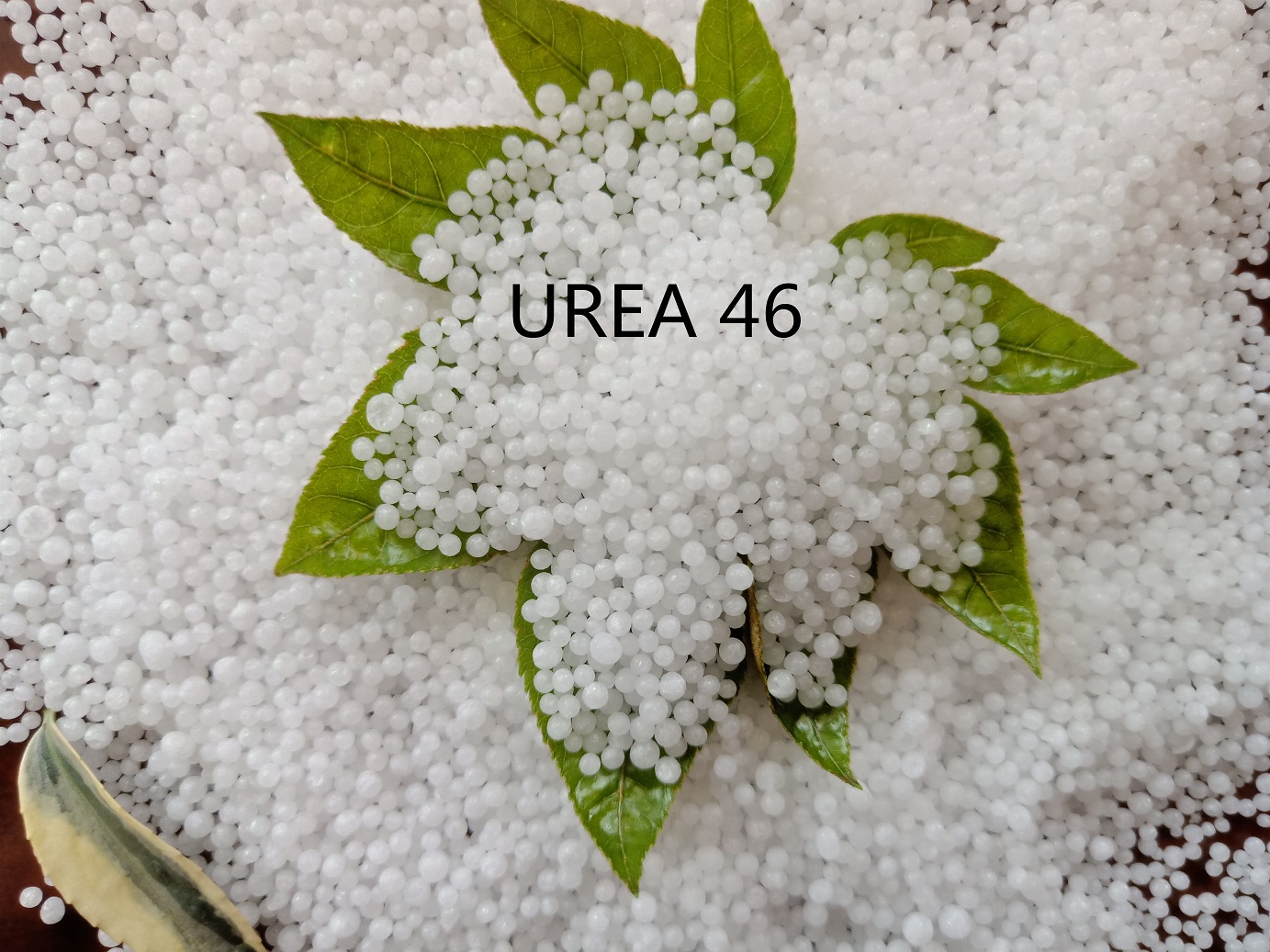 Cheap Urea N 46 Prilled Granular Fertilizer Wholesale Price