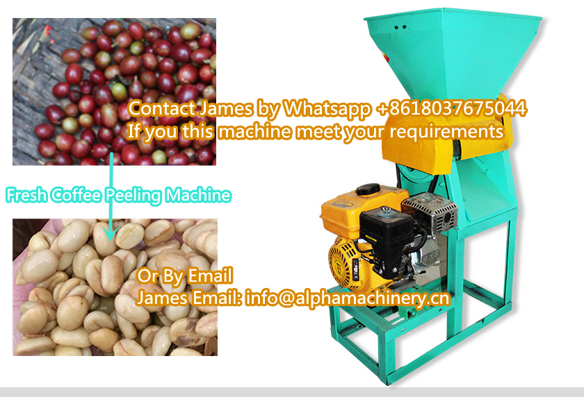 Coffee Bean Processing LineFresh Coffee Peeling MachineCoffee Bean Stoning Grating Machine