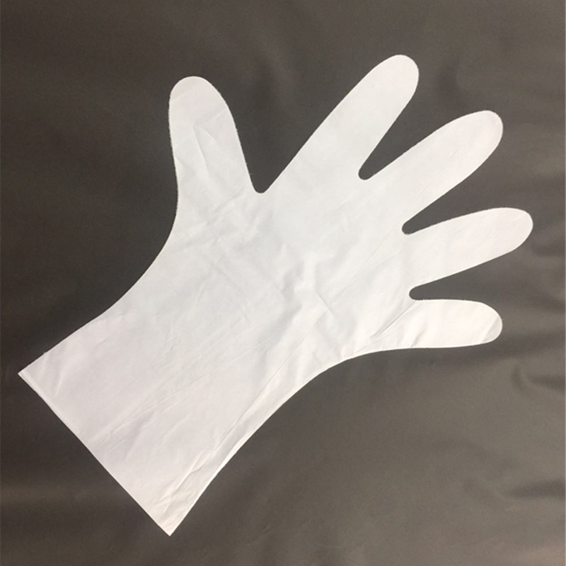 100 compostable food prep gloves restaurant quality for food handling powderfree large ASTM D6400