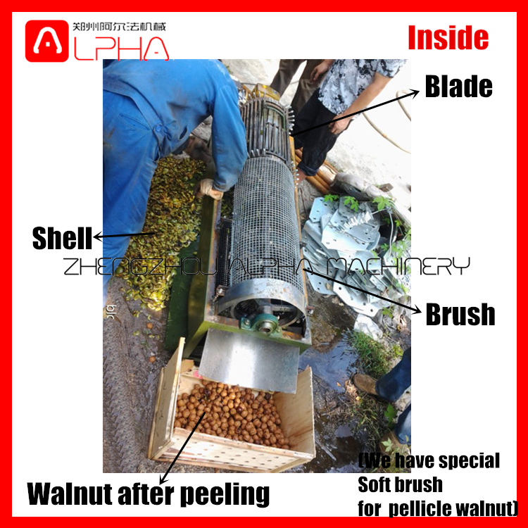 Green walnut washing peeling machine walnut sheller